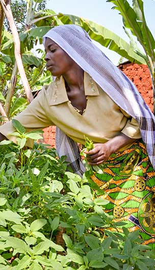 Burundi Food   