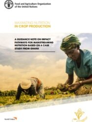 A Guidance Note On Impact Pathways For Mainstreaming Nutrition based on a case study from Ghana (PDF)