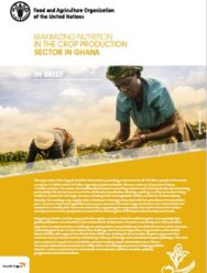 Maximizing Nutrition in the Crop Production Sector in Ghana (PDF)