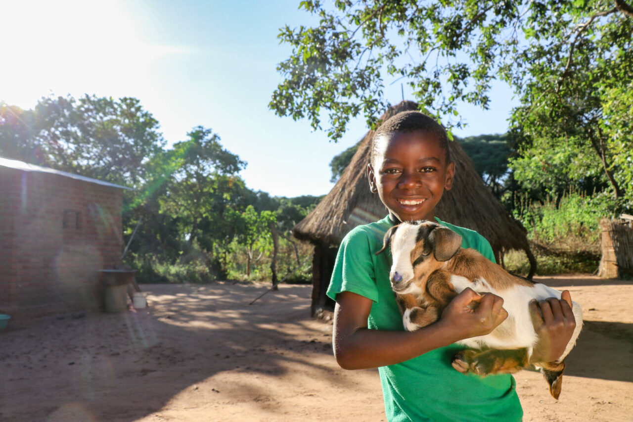 A simple gift of goats brought great joy to Billy and his family.
