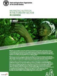 Maximizing Nutrition in Forestry Using a Food Systems Approach (PDF)