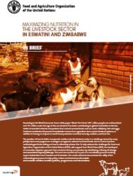 Maximizing Nutrition in the Livestock Sector in Eswatini and Zimbabwe (PDF)