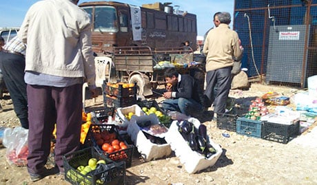 Syria Food   