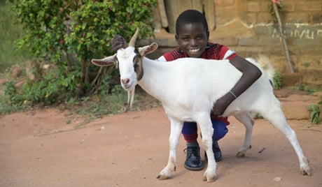 Zambia Health   