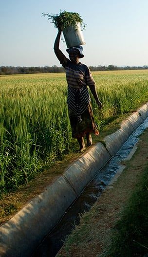 Zimbabwe Food   